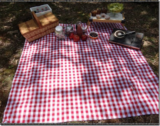 picnic9