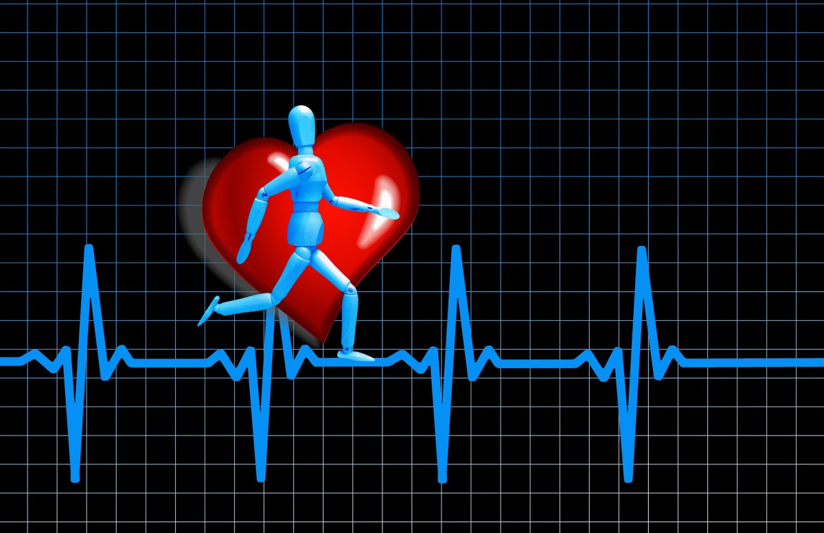 Cardiologista aponta 10 alimentos essenciais para a sa&uacute;de do cora&ccedil;&atilde;o